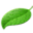 pixabay