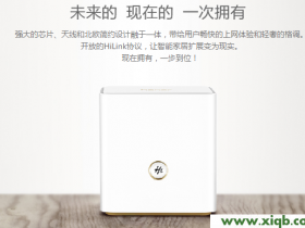 【详细图文】华为荣耀路由Pro(WS851)需要买猫吗?